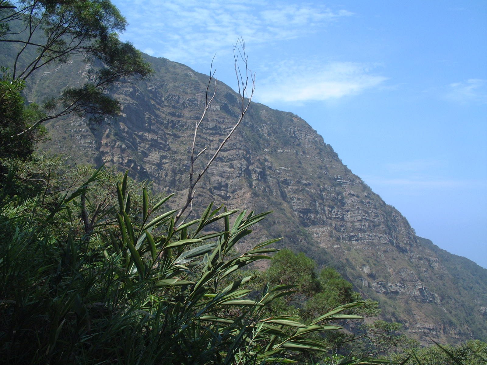里龍山山景